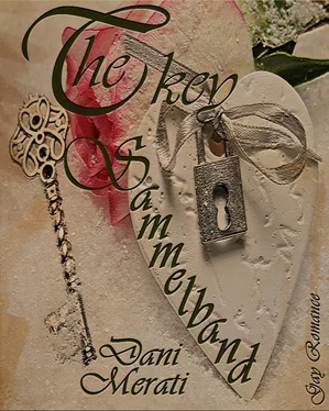 Dani Merati The key - Sammelband обложка книги