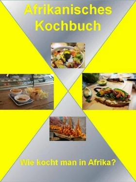 Thomas Becker Afrikanisches Kochbuch обложка книги