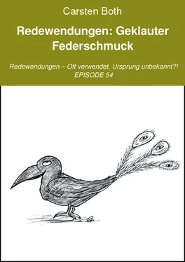 Carsten Both Redewendungen: Geklauter Federschmuck обложка книги