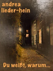 Andrea Lieder-Hein - Du weisst, warum...