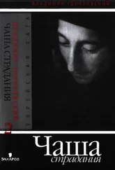 Владимир Голяховский - Чаша страдания