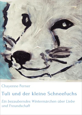 Chayenne Perner Tuli und der kleine Schneefuchs обложка книги