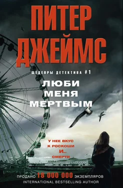 Питер Джеймс Люби меня мертвым обложка книги