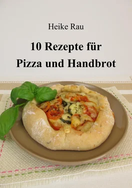 Heike Rau 10 Rezepte für Pizza und Handbrot обложка книги