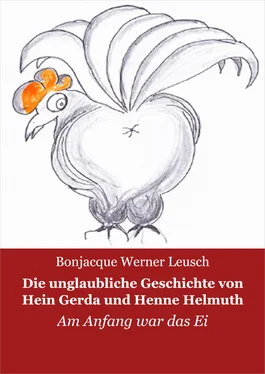 Bonjacque Werner Leusch Die unglaubliche Geschichte von Hein, Gerda und Henne Helmuth обложка книги