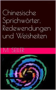 Markus Seiler Chinesische Sprichwörter, Redewendungen und Weisheiten обложка книги