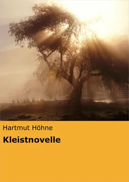 Hartmut Höhne Kleistnovelle обложка книги