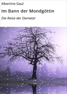 Albertine Gaul Im Bann der Mondgöttin обложка книги