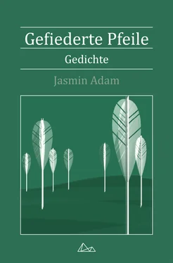 Jasmin Adam Gefiederte Pfeile обложка книги