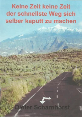 Dieter Scharnhorst Keine Zeit keine Zeit der schnellste Weg sich selber kaputt zu machen обложка книги