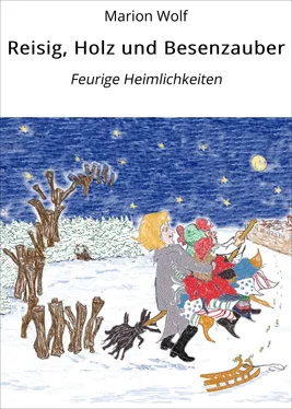 Marion Wolf Reisig, Holz und Besenzauber обложка книги