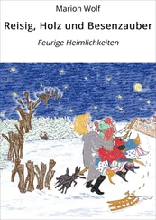 Marion Wolf - Reisig, Holz und Besenzauber