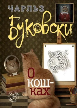 Чарльз Буковски О кошках (сборник) обложка книги