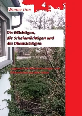 Werner Linn Die Mächtigen, die Scheinmächtigen und die Ohnmächtigen обложка книги