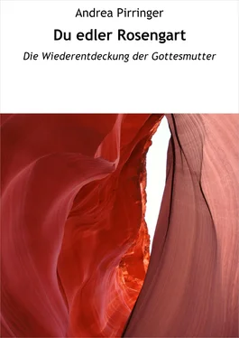 Andrea Pirringer Du edler Rosengart обложка книги
