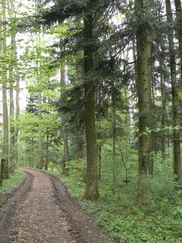 Wolfgang Treitler - Sehr gut