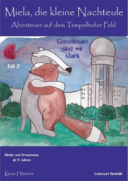 Kena Hüsers Miela, die kleine Nachteule vom Tempelhofer Feld обложка книги