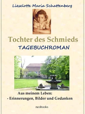 Lieselotte Maria Schattenberg Tochter des Schmieds обложка книги