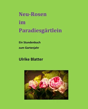 Ulrike Blatter Neu-Rosen im Paradiesgärtlein обложка книги