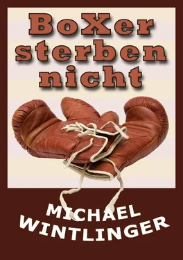 Michael Wintlinger Boxer sterben nicht обложка книги