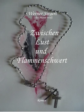 Werner Siegert Zwischen Lust und Flammenschwert обложка книги