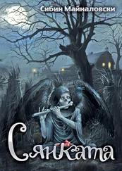 Сибин Майналовски - Сянката