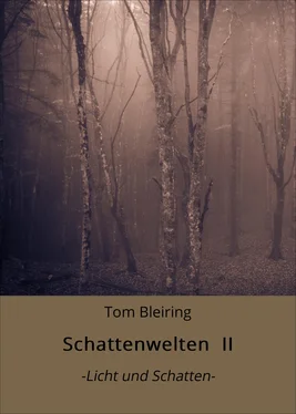 Tom Bleiring Schattenwelten II обложка книги