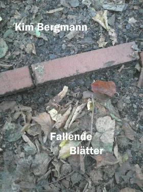 Kim Bergmann Fallende Blätter обложка книги