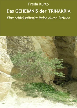 Freda Kurto Das GEHEIMNIS der TRINAKRIA обложка книги