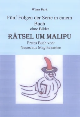 Wilma Burk Rätsel um Malipu обложка книги