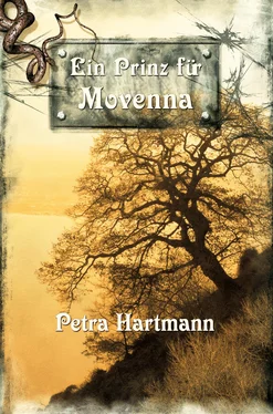 Petra Hartmann Ein Prinz für Movenna обложка книги