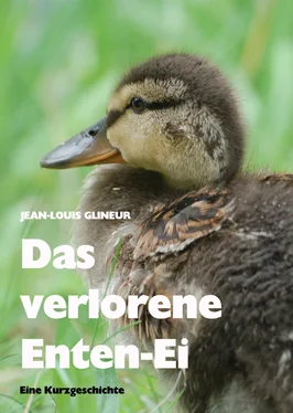 Jean-Louis Glineur Das verlorene Enten-Ei обложка книги