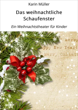 Karin Müller Das weihnachtliche Schaufenster обложка книги