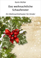 Karin Müller - Das weihnachtliche Schaufenster