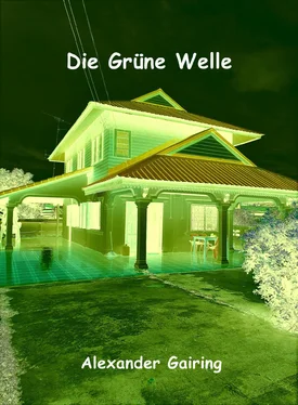 Alexander Gairing Die Grüne Welle обложка книги