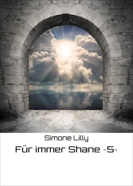 Simone Lilly Für immer Shane ~5~ обложка книги