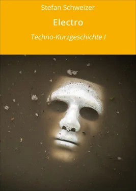 Stefan Schweizer Electro обложка книги
