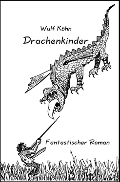 Wulf Köhn Drachenkinder обложка книги