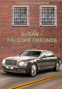 Cedrina Lautenfeld Susan - Falsche Freunde обложка книги