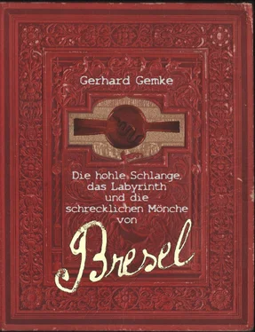 Gerhard Gemke Die hohle Schlange, das Labyrinth und die schrecklichen Mönche von Bresel обложка книги