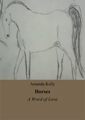 Amanda Kelly - Horses