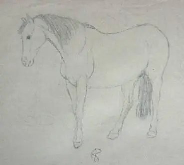 You ought to be especially cautious with elderly horses Their strength is - фото 8