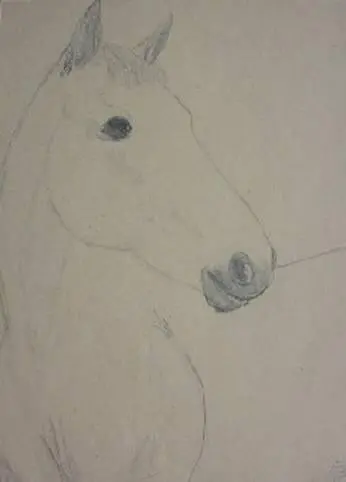 When your love towards horses is bigger than your fear the pouring out of - фото 3