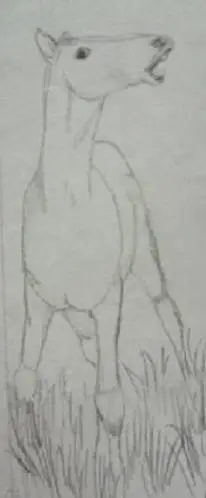 If a horse keeps its ears strictly laid backwards makes a long neck and snaps - фото 4