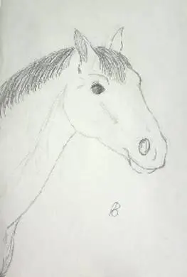 Approach the horse slowly step by step Meanwhile watch its ears At the - фото 2
