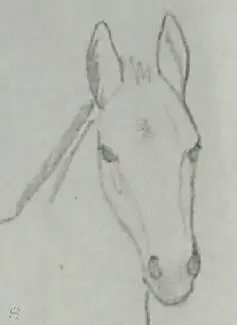 A foal is entirely frivolous and harmless When it knows you well you can - фото 6