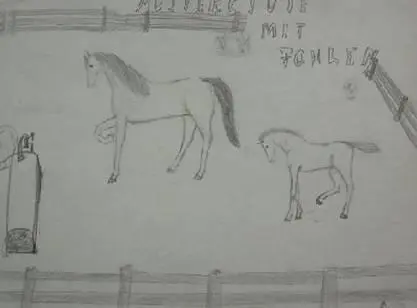 You must absolutely not approach a mother mare with its foal In the beginning - фото 5