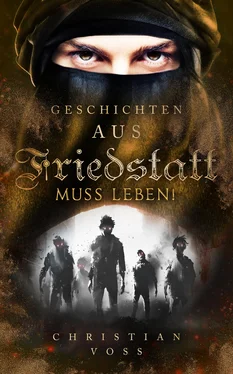Christian Voß Geschichten aus Friedstatt Band 3: Friedstatt muss leben! обложка книги