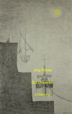 Jörg Röske Die Urwasser обложка книги
