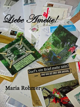 Maria Rohmer Liebe Amelie! ACHT обложка книги